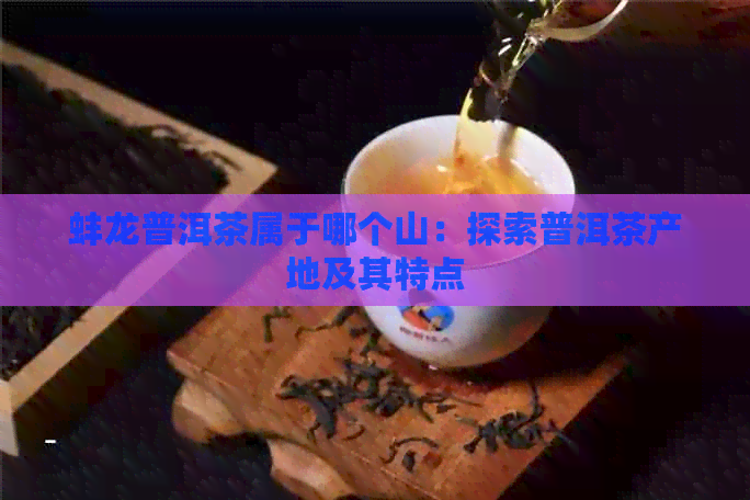 蚌龙普洱茶属于哪个山：探索普洱茶产地及其特点