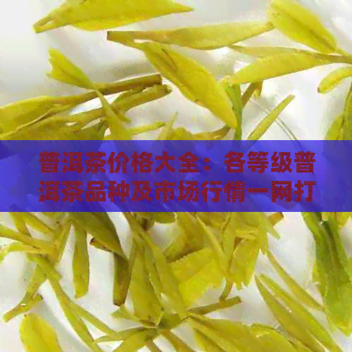 普洱茶价格大全：各等级普洱茶品种及市场行情一网打尽