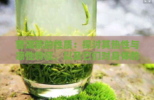 普洱茶的性质：探讨其热性与凉性特征，以及它们对身体的影响