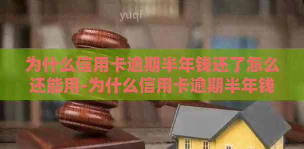 为什么信用卡逾期半年钱还了怎么还能用-为什么信用卡逾期半年钱还了怎么还能用呢