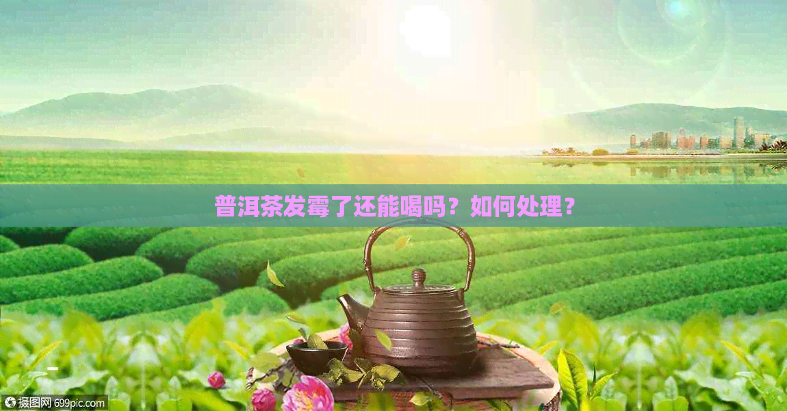 普洱茶发霉了还能喝吗？如何处理？