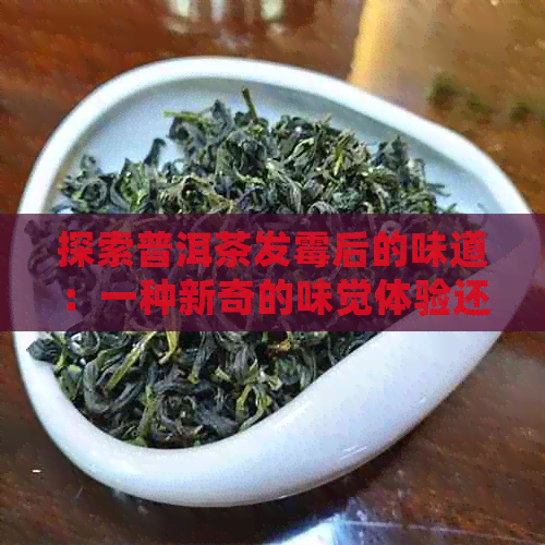 探索普洱茶发霉后的味道：一种新奇的味觉体验还是不健的风险？