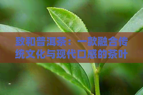 致和普洱茶：一款融合传统文化与现代口感的茶叶佳品