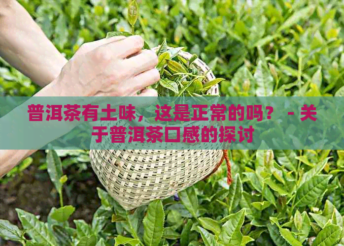 普洱茶有土味，这是正常的吗？ - 关于普洱茶口感的探讨