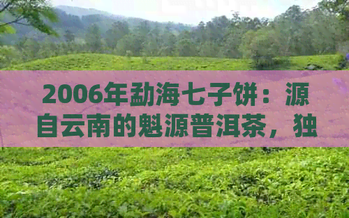 2006年勐海七子饼：源自云南的魁源普洱茶，独具匠心的生茶佳品