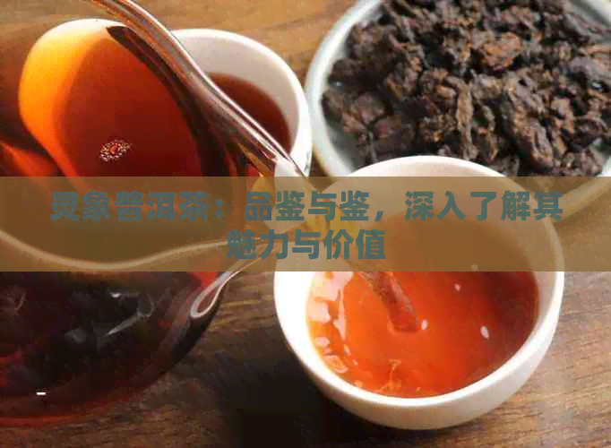 灵象普洱茶：品鉴与鉴，深入了解其魅力与价值