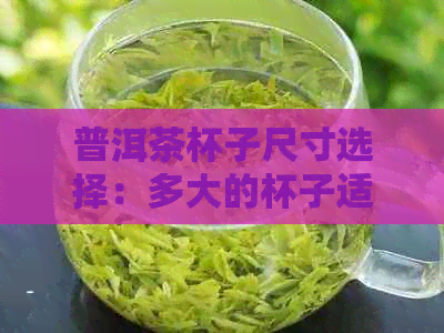 普洱茶杯子尺寸选择：多大的杯子适合品尝普洱茶？