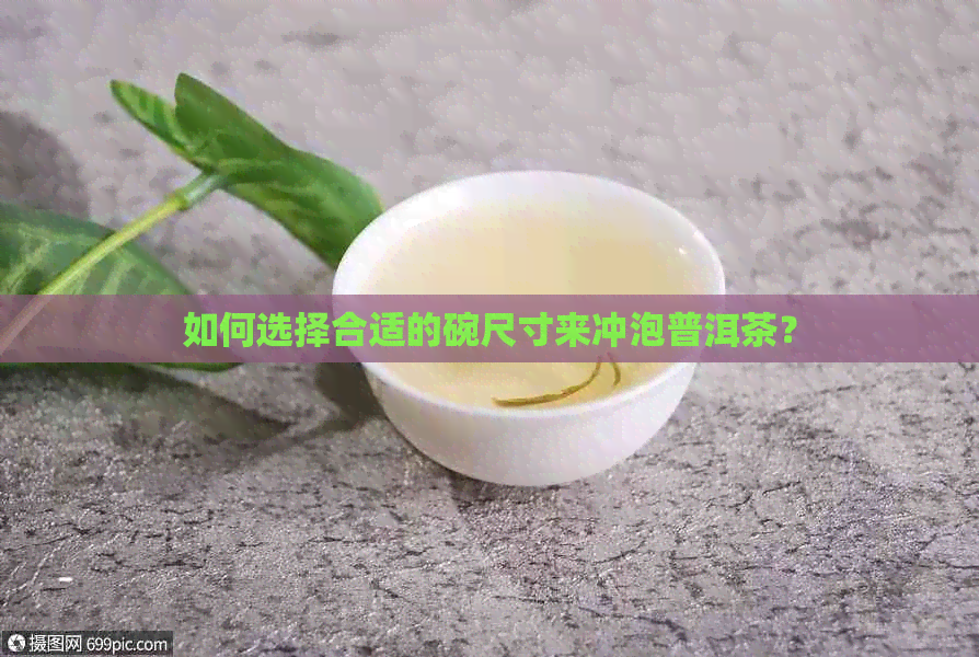 如何选择合适的碗尺寸来冲泡普洱茶？