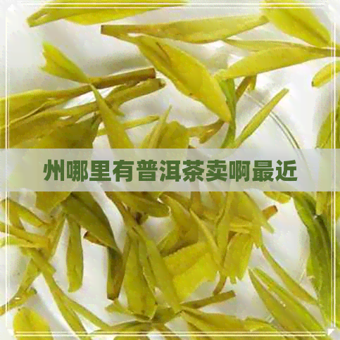 州哪里有普洱茶卖啊最近