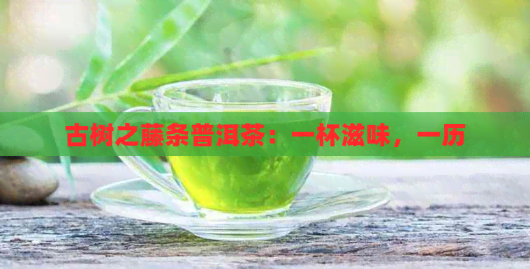 古树之藤条普洱茶：一杯滋味，一历