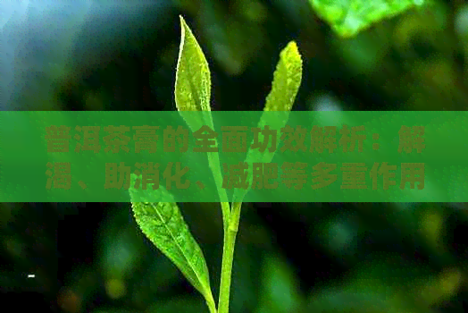 普洱茶膏的全面功效解析：解渴、助消化、减肥等多重作用一文详解