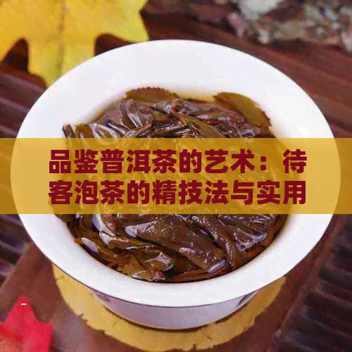 品鉴普洱茶的艺术：待客泡茶的精技法与实用建议