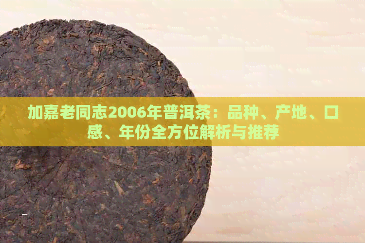 加嘉老同志2006年普洱茶：品种、产地、口感、年份全方位解析与推荐