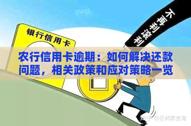 农行信用卡逾期：如何解决还款问题，相关政策和应对策略一览