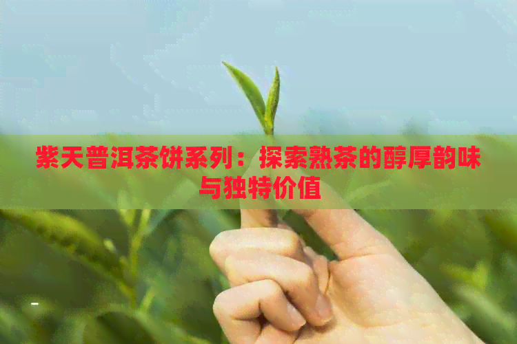 紫天普洱茶饼系列：探索熟茶的醇厚韵味与独特价值