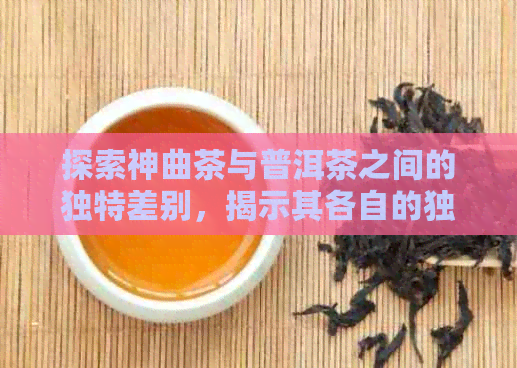 探索神曲茶与普洱茶之间的独特差别，揭示其各自的独特魅力和价值