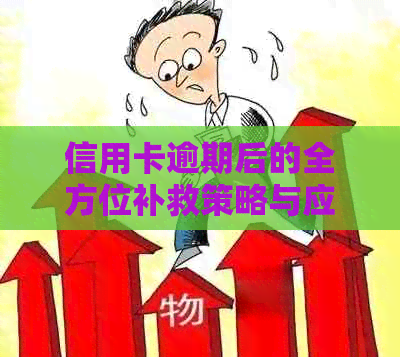 信用卡逾期后的全方位补救策略与应对方法