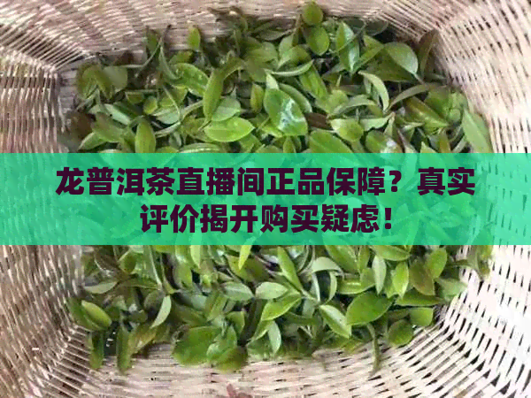 龙普洱茶直播间正品保障？真实评价揭开购买疑虑！