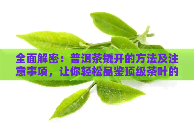 全面解密：普洱茶撬开的方法及注意事项，让你轻松品鉴顶级茶叶的精髓