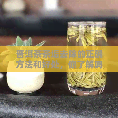 普洱茶茶垢去除的正确方法和好处，你了解吗？