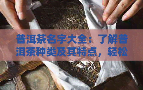 普洱茶名字大全：了解普洱茶种类及其特点，轻松选购适合自己的好茶