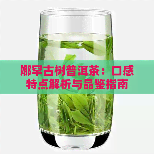 娜罕古树普洱茶：口感特点解析与品鉴指南