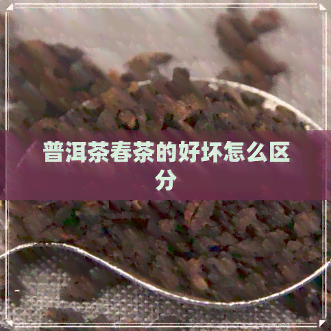 普洱茶春茶的好坏怎么区分