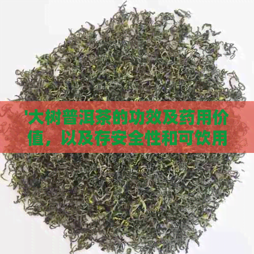 '大树普洱茶的功效及药用价值，以及存安全性和可饮用性'