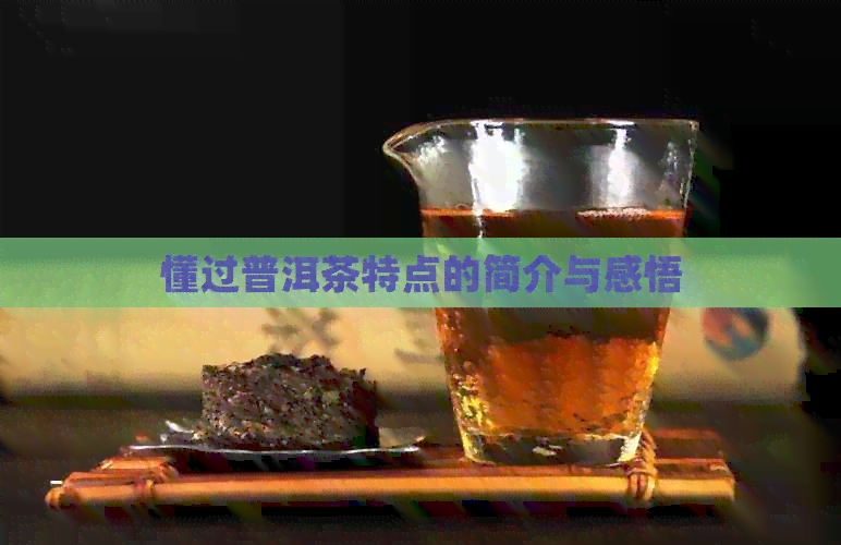 懂过普洱茶特点的简介与感悟