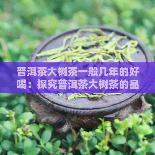 普洱茶大树茶一般几年的好喝：探究普洱茶大树茶的品质与树龄关系