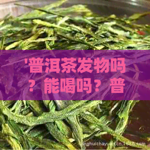 '普洱茶发物吗？能喝吗？普洱茶是不是发物？会发热吗？普洱茶发酵致癌吗？'