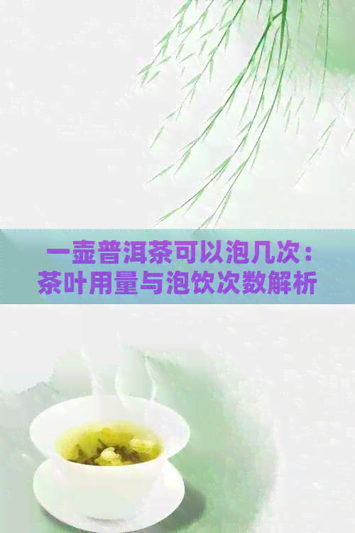 一壶普洱茶可以泡几次：茶叶用量与泡饮次数解析