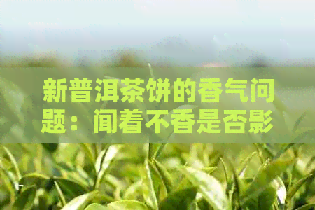 新普洱茶饼的香气问题：闻着不香是否影响饮用？原因及解决方法全面解析