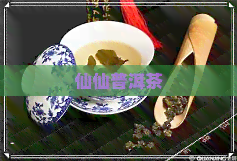 仙仙普洱茶