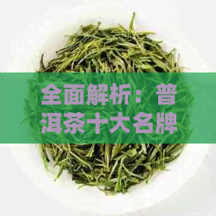 全面解析：普洱茶十大名牌名称及其特点，助您轻松挑选高品质普洱茶