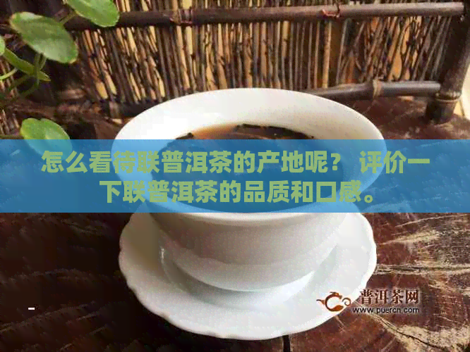 怎么看待联普洱茶的产地呢？ 评价一下联普洱茶的品质和口感。