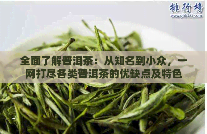 全面了解普洱茶：从知名到小众，一网打尽各类普洱茶的优缺点及特色