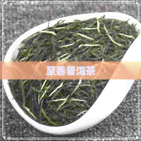 至善普洱茶