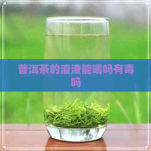 普洱茶的渣渣能喝吗有吗