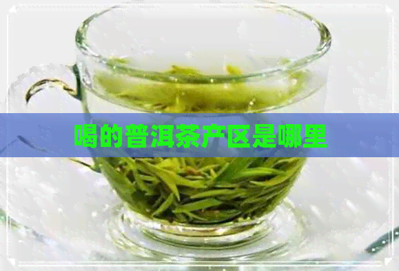 喝的普洱茶产区是哪里