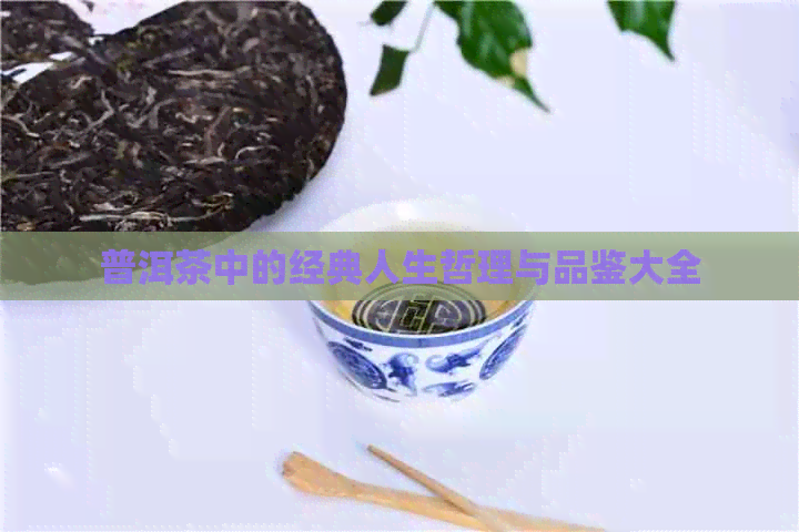 普洱茶中的经典人生哲理与品鉴大全