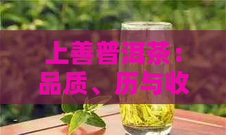 上善普洱茶：品质、历与收藏价值全面解析