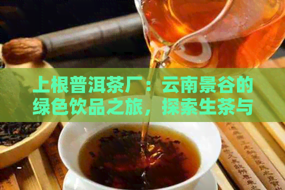 上根普洱茶厂：云南景谷的绿色饮品之旅，探索生茶与普洱茶的魅力价格