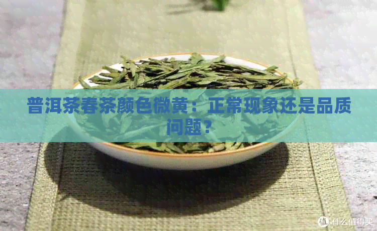 普洱茶春茶颜色微黄：正常现象还是品质问题？