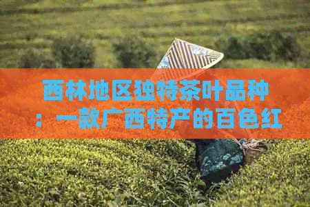 西林地区独特茶叶品种：一款广西特产的百色红茶