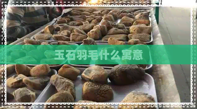 玉石羽毛什么寓意