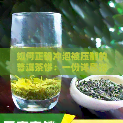 如何正确冲泡被压制的普洱茶饼：一份详尽指南