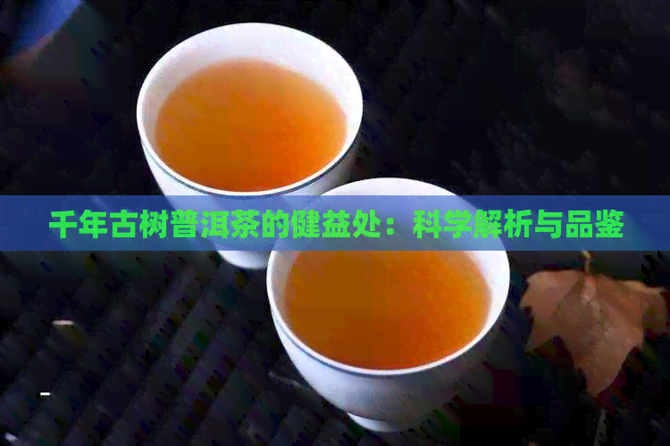 千年古树普洱茶的健益处：科学解析与品鉴