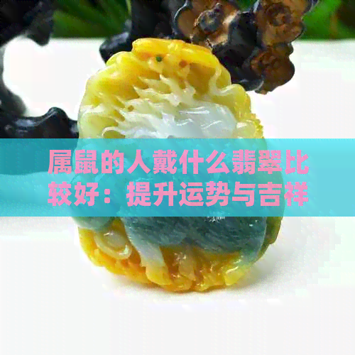 属鼠的人戴什么翡翠比较好：提升运势与吉祥的选择