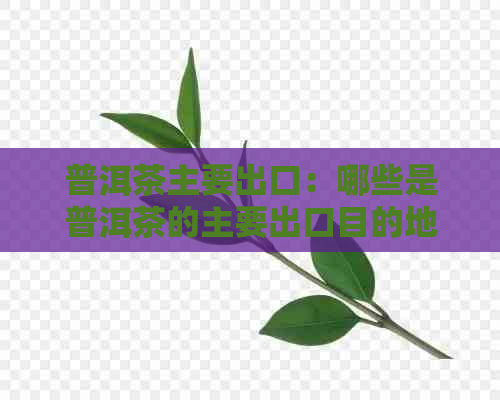 普洱茶主要出口：哪些是普洱茶的主要出口目的地？